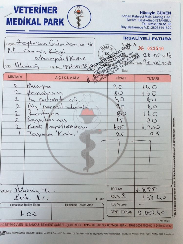 Berrak Turşuları Haytap İşbirliği İle Kurtulan Can - 1